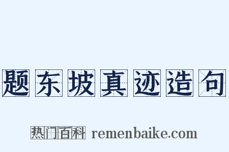 题东坡真迹造句是什么意思的图片